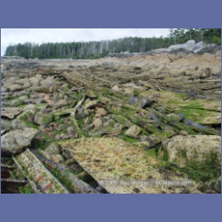 2005_1818_Freeman_Passage_Kitkatla_Inlet.html