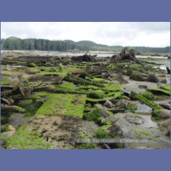 2005_1819_Freeman_Passage_Kitkatla_Inlet.html