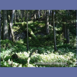 2005_1837_Freeman_Passage_Kitkatla_Inlet.html