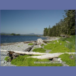 2005_1843_Freeman_Passage_Kitkatla_Inlet.html