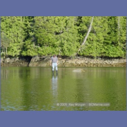 2005_1865_Freeman_Passage_Kitkatla_Inlet.html