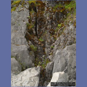 2006_1200_Freshwater_Bay_Chichagof_I.JPG