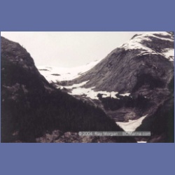 1997_gardenerb5.html