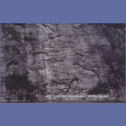 1997_gardenerb8.html