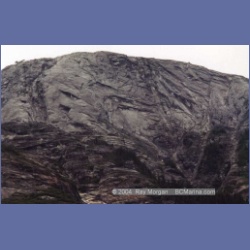 1997_gardenerbc.html