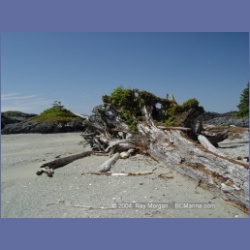 2003_2779_Kutcous_Point_Gibson_Marine_Park.html
