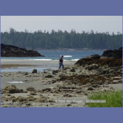 2003_2790_Kutcous_Point_Gibson_Marine_Park.html
