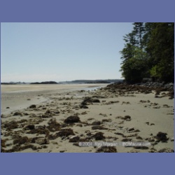 2003_2793_Kutcous_Point_Gibson_Marine_Park.html