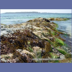 2003_2802_Kutcous_Point_Gibson_Marine_Park.html