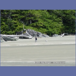 2003_2809_Kutcous_Point_Gibson_Marine_Park.html