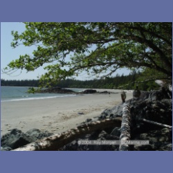 2003_2837_Whitesand_Cove_Gibson_Marine_Park.html
