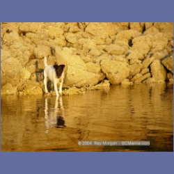 2004_7268_Gillen_Harbour_Estevan_Group.html