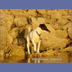 2004_7269_Gillen_Harbour_Estevan_Group.html
