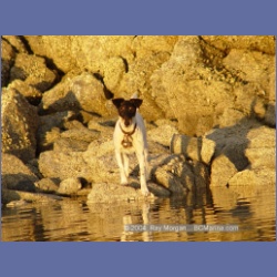 2004_7270_Gillen_Harbour_Estevan_Group.html