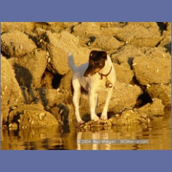 2004_7271_Gillen_Harbour_Estevan_Group.html