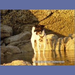2004_7272_Gillen_Harbour_Estevan_Group.html