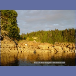 2004_7273_Gillen_Harbour_Estevan_Group.html