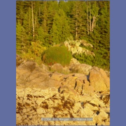 2004_7275_Gillen_Harbour_Estevan_Group.html