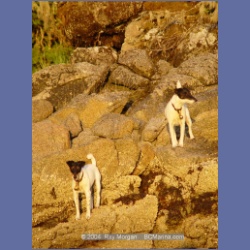 2004_7278_Gillen_Harbour_Estevan_Group.html