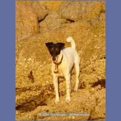 2004_7279_Gillen_Harbour_Estevan_Group.html