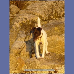 2004_7280_Gillen_Harbour_Estevan_Group.html