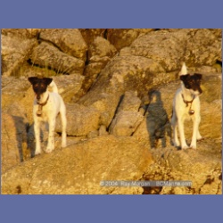 2004_7281_Gillen_Harbour_Estevan_Group.html