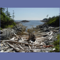 2005_2161_Gillen_Harbour.html