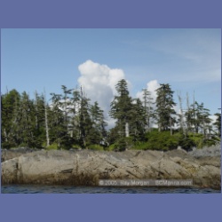 2005_2168_Gillen_Harbour.html