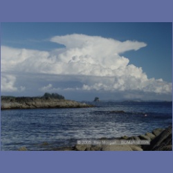 2005_2177_Gillen_Harbour.html