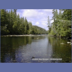 2001_109_Goodlad_Bay_Kildidt_Sound.html