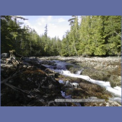 2001_114_Goodlad_Bay_Kildidt_Sound.html