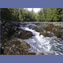 2001_115_Goodlad_Bay_Kildidt_Sound.html