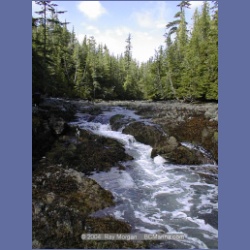 2001_116_Goodlad_Bay_Kildidt_Sound.html