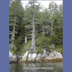 2000_086_Goose_Bay.html