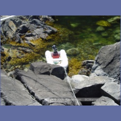 2005_2295_Goose_Group_Islands.html