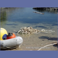2005_2297_Goose_Group_Islands.html