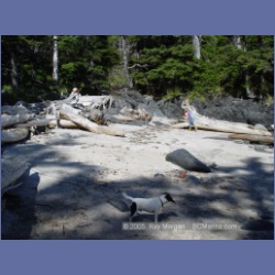 2005_2298_Goose_Group_Islands.html