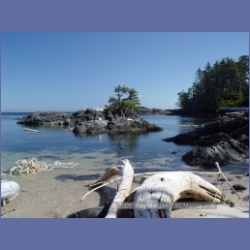 2005_2299_Goose_Group_Islands.html