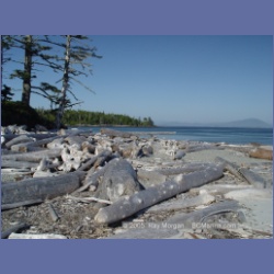 2005_2304_Goose_Group_Islands.html