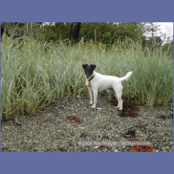 2000_207_Granby_Bay.html
