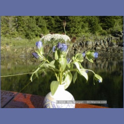 2000_313_Granby_Bay.html