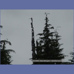 2005_1005_Granby_Bay_Observatory_Inlet.html