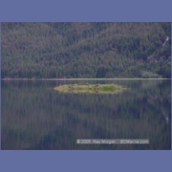 2005_1212_Honeymoon_Bay_Granby_Bay.html