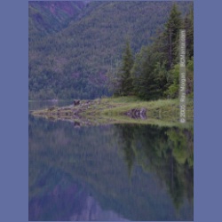2005_1213_Honeymoon_Bay_Granby_Bay.html