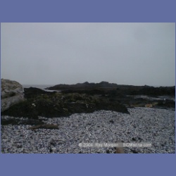 2002_301_Grassy_Island_KyuquotSound.html