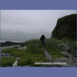 2002_302_Grassy_Island_KyuquotSound.html