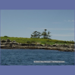 2003_3310_Grassy_Island_Kyuquot_Sound.html