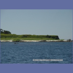 2003_3313_Grassy_Island_Kyuquot_Sound.html