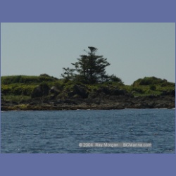 2003_3314_Grassy_Island_Kyuquot_Sound.html
