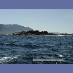 2003_3318_Grassy_Island_Kyuquot_Sound.html